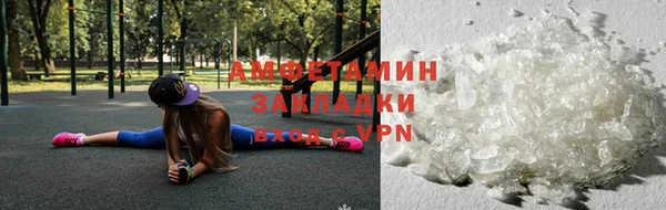 прущие грибы Алзамай